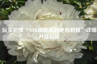玩家必搜“WPK辅助器的使用教程”详细开挂玩法