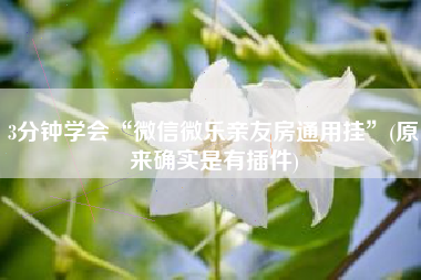 3分钟学会“微信微乐亲友房通用挂	”(原来确实是有插件)