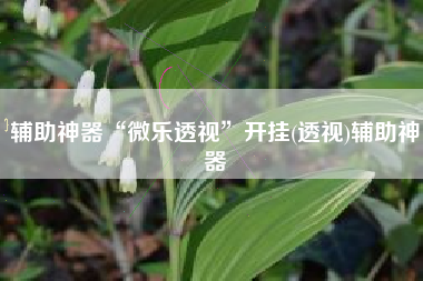 辅助神器“微乐透视”开挂(透视)辅助神器