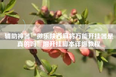 辅助神器“微乐陕西麻将万能开挂器是真的吗”附开挂脚本详细教程