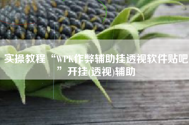 实操教程“WPK作弊辅助挂透视软件贴吧	”开挂(透视)辅助