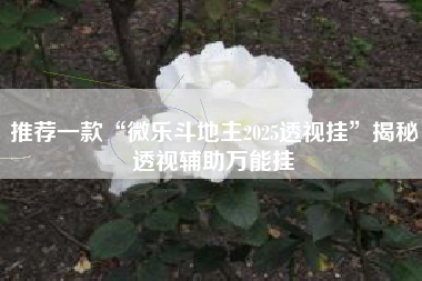 推荐一款“微乐斗地主2025透视挂”揭秘透视辅助万能挂