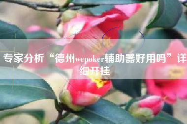 专家分析“德州wepoker辅助器好用吗”详细开挂