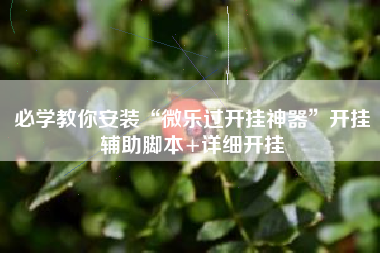 必学教你安装“微乐过开挂神器”开挂辅助脚本+详细开挂