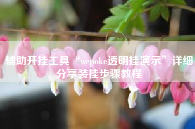 辅助开挂工具“wepoke透明挂演示	”详细分享装挂步骤教程