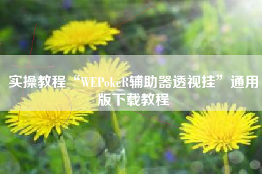 实操教程“WEPokeR辅助器透视挂”通用版下载教程