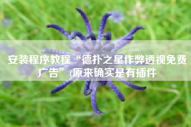 安装程序教程“德扑之星作弊透视免费广告	”(原来确实是有插件