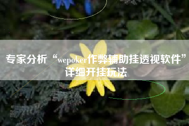 专家分析“wepoker作弊辅助挂透视软件”详细开挂玩法
