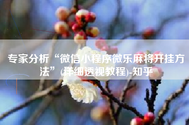 专家分析“微信小程序微乐麻将开挂方法”(详细透视教程)-知乎