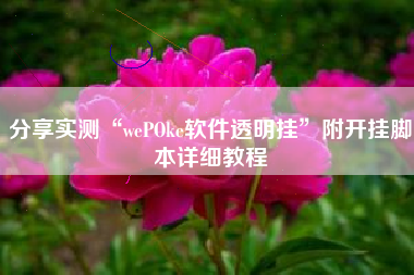 分享实测“wePOke软件透明挂	”附开挂脚本详细教程