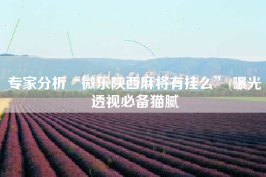 专家分析“微乐陕西麻将有挂么	”(曝光透视必备猫腻