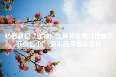 必看教程“雀神广东麻将免费开挂器下载微信小	”(原来确实是有插件