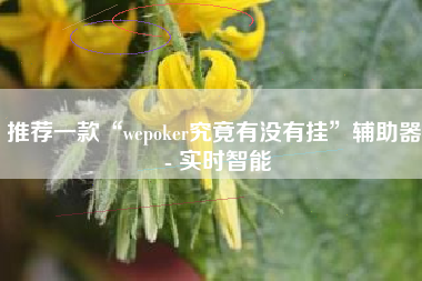 推荐一款“wepoker究竟有没有挂”辅助器 - 实时智能