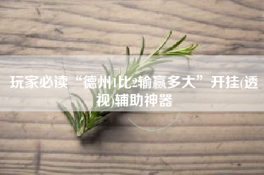 玩家必读“德州1比2输赢多大”开挂(透视)辅助神器