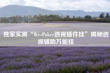 独家实测“We-Poker透视插件挂”揭秘透视辅助万能挂