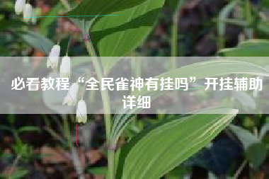 必看教程“全民雀神有挂吗”开挂辅助详细