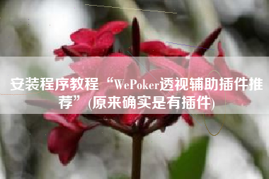 安装程序教程“WePoker透视辅助插件推荐	”(原来确实是有插件)