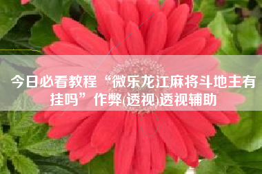 今日必看教程“微乐龙江麻将斗地主有挂吗”作弊(透视)透视辅助