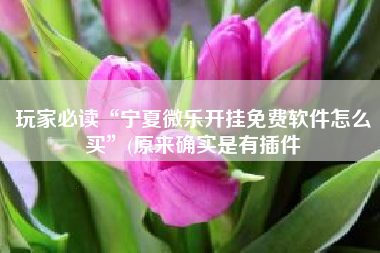 玩家必读“宁夏微乐开挂免费软件怎么买”(原来确实是有插件