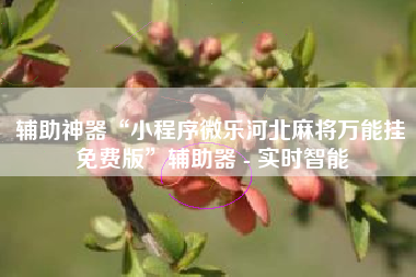 辅助神器“小程序微乐河北麻将万能挂免费版	”辅助器 - 实时智能