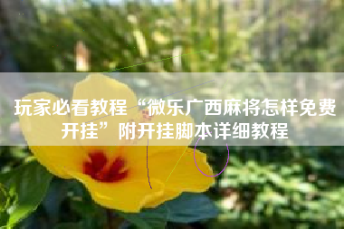 玩家必看教程“微乐广西麻将怎样免费开挂”附开挂脚本详细教程