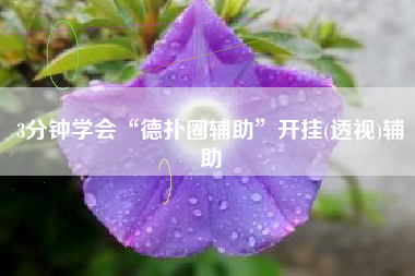 3分钟学会“德扑圈辅助	”开挂(透视)辅助