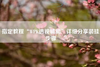 指定教程“WPK透视辅助”详细分享装挂步骤