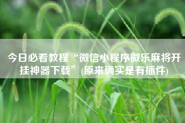 今日必看教程“微信小程序微乐麻将开挂神器下载	”(原来确实是有插件)