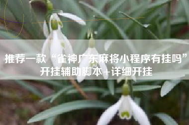 推荐一款“雀神广东麻将小程序有挂吗”开挂辅助脚本+详细开挂