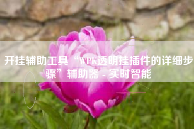 开挂辅助工具“WPK透明挂插件的详细步骤”辅助器 - 实时智能