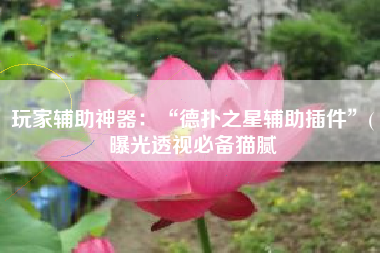 玩家辅助神器：“德扑之星辅助插件”(曝光透视必备猫腻