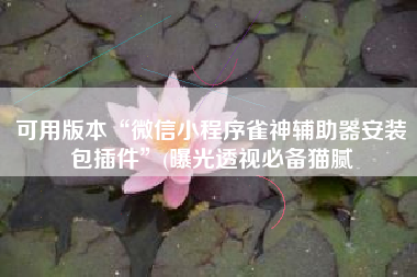 可用版本“微信小程序雀神辅助器安装包插件”(曝光透视必备猫腻