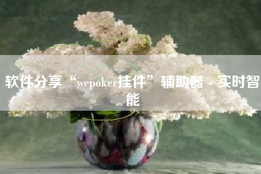 软件分享“wepoker挂件	”辅助器 - 实时智能