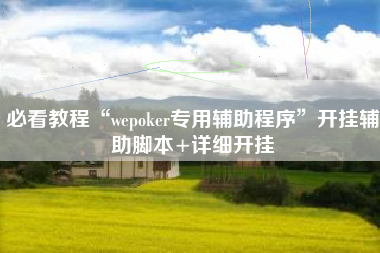 必看教程“wepoker专用辅助程序”开挂辅助脚本+详细开挂
