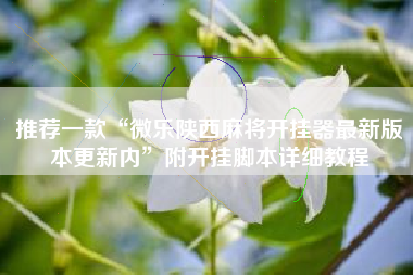 推荐一款“微乐陕西麻将开挂器最新版本更新内”附开挂脚本详细教程