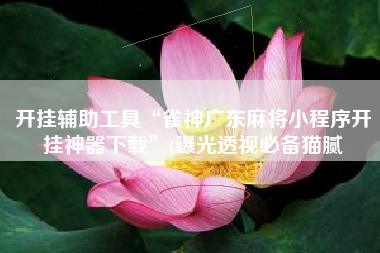 开挂辅助工具“雀神广东麻将小程序开挂神器下载”(曝光透视必备猫腻