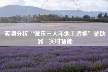 实测分析“微乐三人斗地主透视”辅助器 - 实时智能