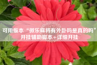 可用版本“微乐麻将有外卦吗是真的吗”开挂辅助脚本+详细开挂