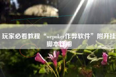 玩家必看教程“wepoker作弊软件	”附开挂脚本详细
