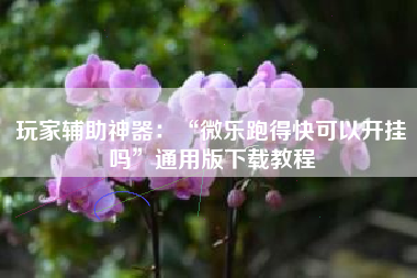 玩家辅助神器：“微乐跑得快可以开挂吗	”通用版下载教程