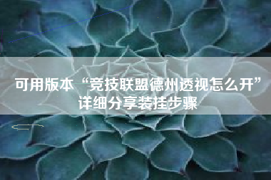 可用版本“竞技联盟德州透视怎么开	”详细分享装挂步骤