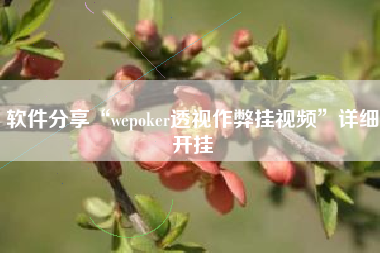 软件分享“wepoker透视作弊挂视频”详细开挂