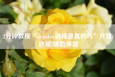 3分钟教程“wepoker透视是真的吗”开挂(透视)辅助神器