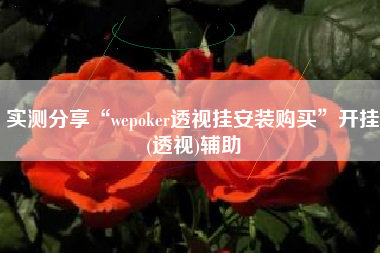 实测分享“wepoker透视挂安装购买”开挂(透视)辅助
