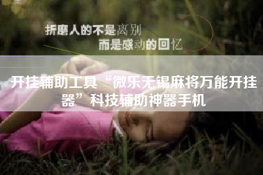 开挂辅助工具“微乐无锡麻将万能开挂器”科技辅助神器手机