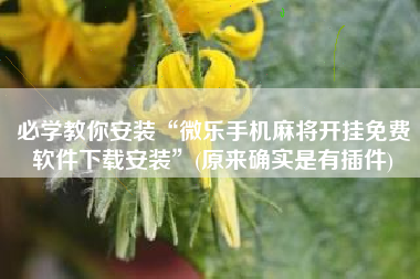 必学教你安装“微乐手机麻将开挂免费软件下载安装	”(原来确实是有插件)