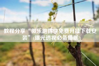 教程分享“微乐跑得快免费开挂下载安装”(曝光透视必备猫腻