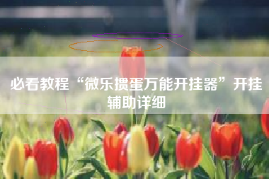 必看教程“微乐掼蛋万能开挂器”开挂辅助详细