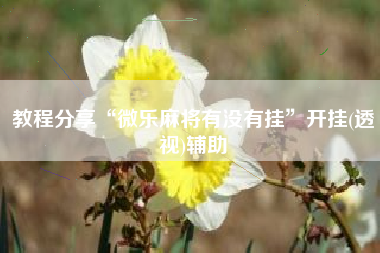 教程分享“微乐麻将有没有挂”开挂(透视)辅助
