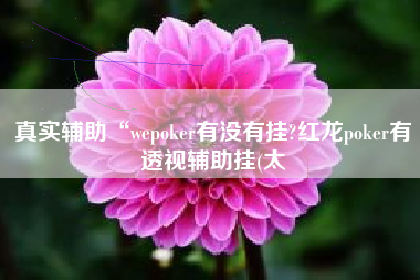 真实辅助“wepoker有没有挂?红龙poker有透视辅助挂(太